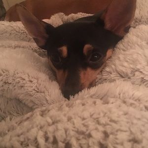 Meet your Posher, Mary kate